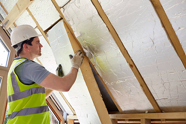 Best Residential Insulation in Palm Coast, FL